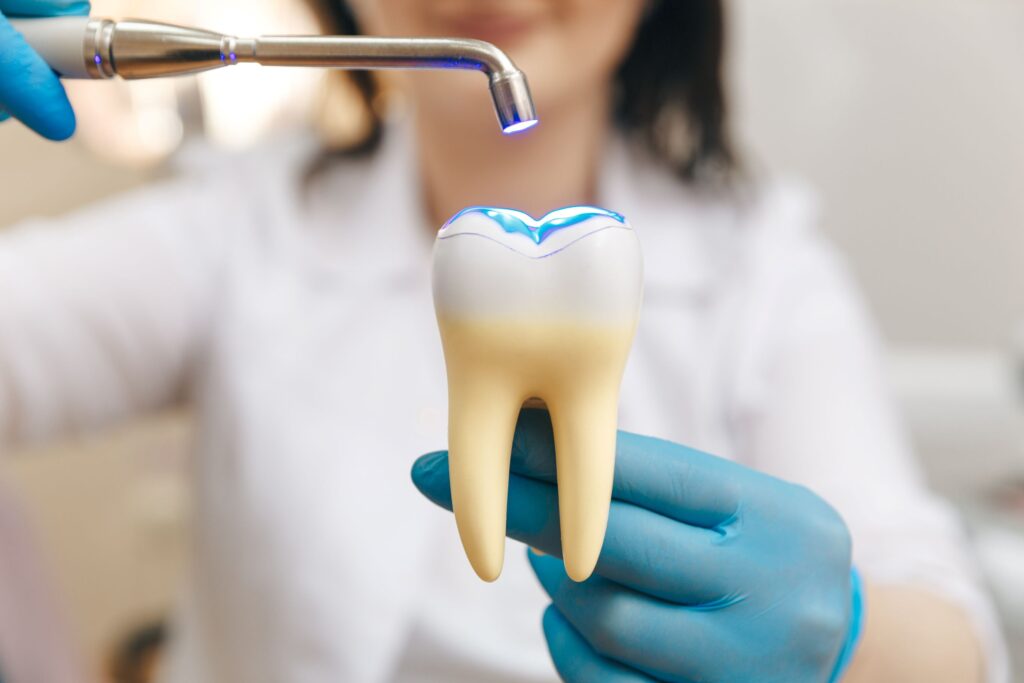 Dentist demonstrating tooth-colored filling on large model tooth